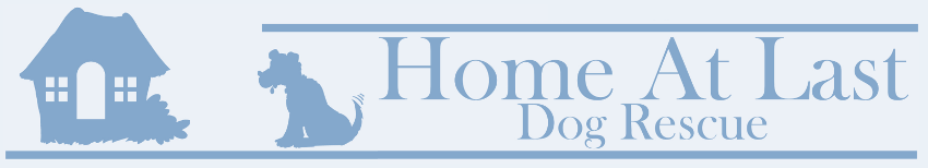 Home At Last Dog Rescue