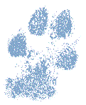 Paw Print